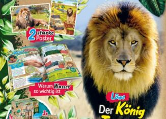 Playmobil - 80737-ger - Playmobil-Magazin Wiltopia 4/2023 (Heft 5)