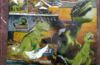 Playmobil - R.ESP 1-30796074 - Dino with drone