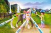 Playmobil - 71640 - Washable horse set