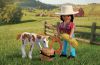 Playmobil - 72026 - Cavalière avec poulain