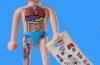 Playmobil - 72027v6 - Modelo anatómico