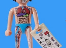 Playmobil - 72027v6 - Modèle anatomique