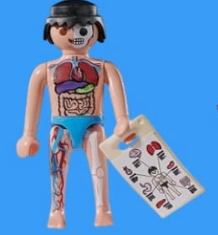 Playmobil - 72027v6 - Anatomy model