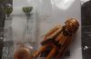 Playmobil - 30797374-ita - Golden man