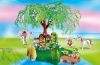 Playmobil - 5623 - Fairy Club Set