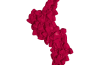 Playmobil - 30024084 - 45 Bougainville flowers