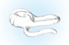 Playmobil - 30025252 - Ball of yarn