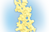 Playmobil - 30035803 - Coral