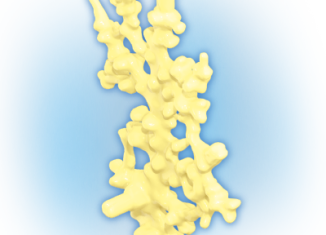 Playmobil - 30035803 - Coral