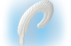 Playmobil - 30043340 - Rooster feather