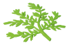Playmobil - 30046152 - Fairy tree branch