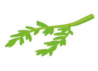 Playmobil - 30046162 - Feed branch