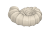 Playmobil - 30052203 - Ammonite