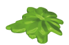 Playmobil - 30056532 - BS vine 20