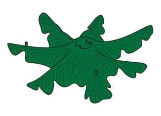 Playmobil - 30073750 - Branch wreath 4 fir tree