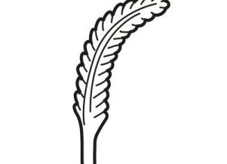 Playmobil - 30077350 - Goose feather