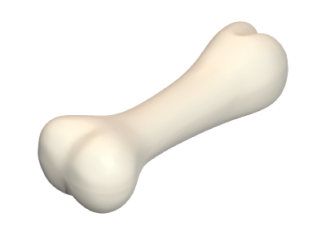 Playmobil - 30081190 - Bone