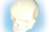 Playmobil - 30092610 - Skull