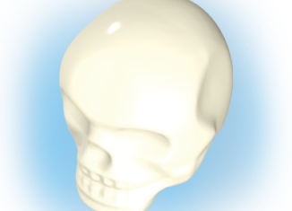 Playmobil - 30092610 - Skull