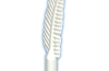 Playmobil - 30201130 - Writing quill