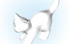 Playmobil - 30205183 - Catnjunges gehend