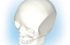 Playmobil - 30207072 - Skull 2009