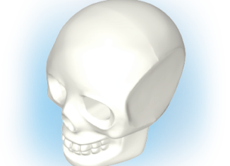 Playmobil - 30207072 - Skull 2009