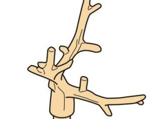 Playmobil - 30210192 - Dry tree 65mm III
