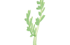 Playmobil - 30210242 - Feed branch
