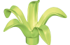 Playmobil - 30213732 - Plant 5 leaves/D 8.5