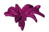 Playmobil - 30214523 - Green plant