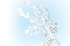Playmobil - 30214833 - Fairy tree branch
