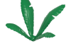 Playmobil - 30219240 - Curved palm frond II