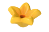 Playmobil - 30219293 - Star flower