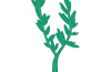 Playmobil - 30225373 - Feed branch