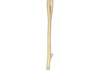 Playmobil - 30225872 - Stone Age pike