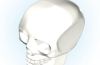Playmobil - 30227882 - Skull 2009
