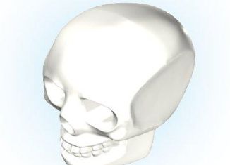 Playmobil - 30227882 - Skull 2009