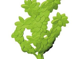 Playmobil - 30231102 - Hedge 81/3,6