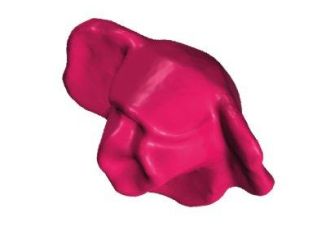 Playmobil - 30237612 - Rose blossom half open