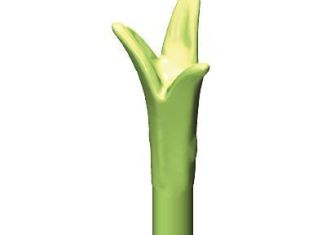 Playmobil - 30241862 - Branch tier 1 yucca tip