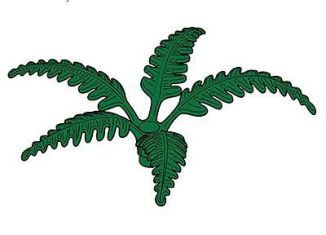 Playmobil - 30241942 - Branch tier 3 fern