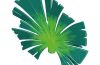 Playmobil - 30242823 - Round Palmenblätter