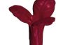 Playmobil - 30243052 - Gummibaum Inne plant