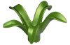 Playmobil - 30249223 - Plant 5 leaves/D 8.5