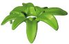 Playmobil - 30250600 - Cubico/D8,5 plant