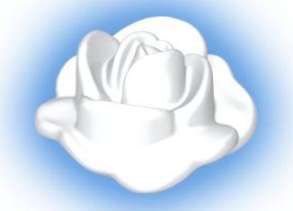 Playmobil - 30250740 - Rose blossom open