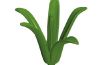 Playmobil - 30250852 - Agave leaves inner III