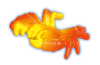 Playmobil - 30251200 - Crab