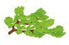 Playmobil - 30252320 - Oak tree branch 3